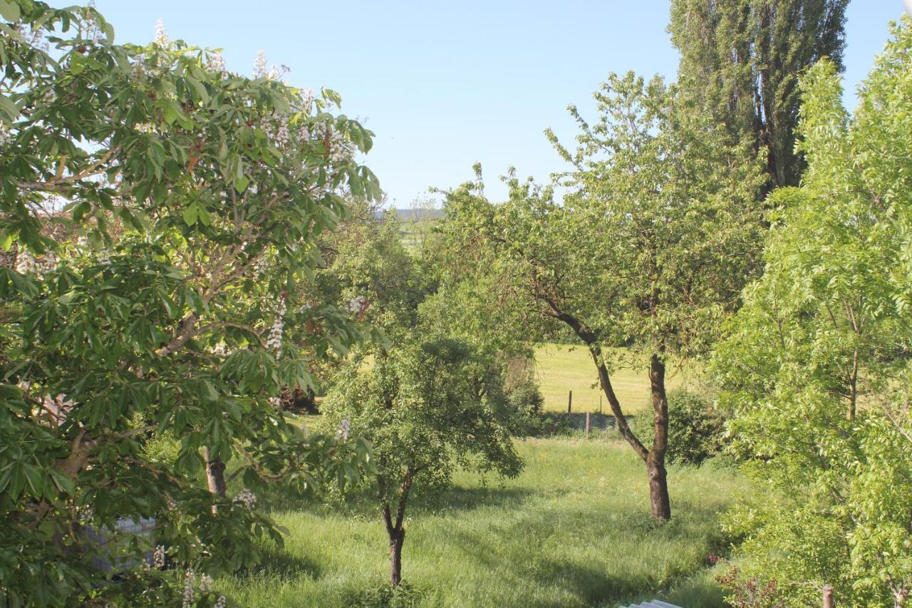 Fewo Am Schlossberg Neusitz  Kültér fotó