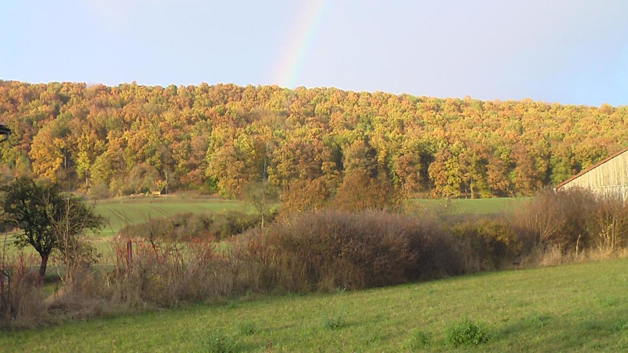 Fewo Am Schlossberg Neusitz  Kültér fotó